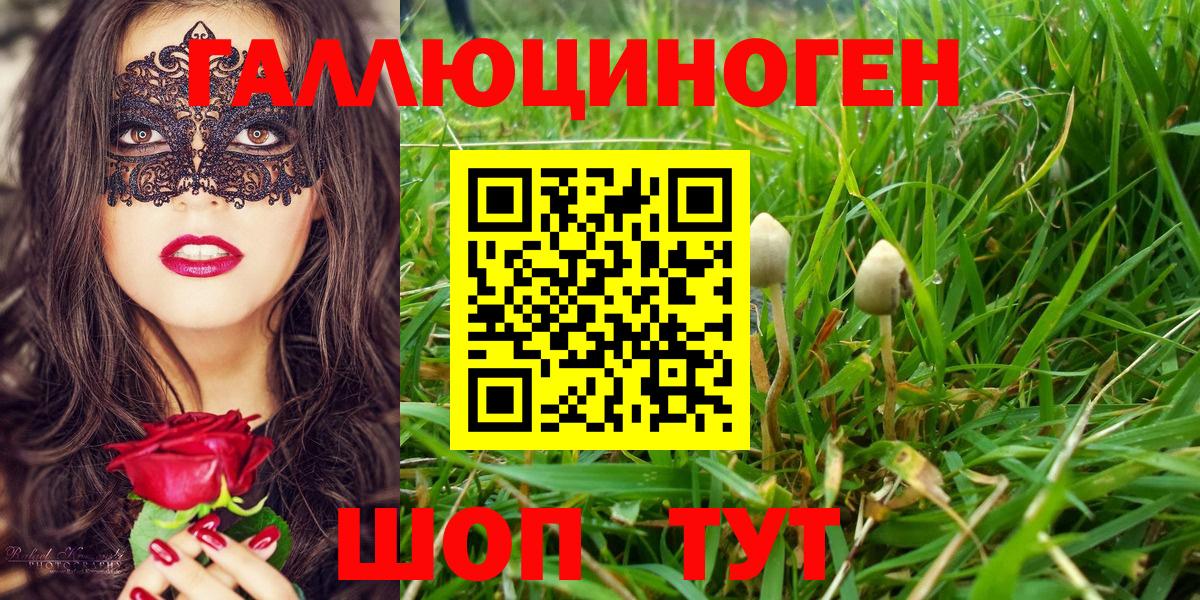 Галлюциногенные грибы мицелий Видное